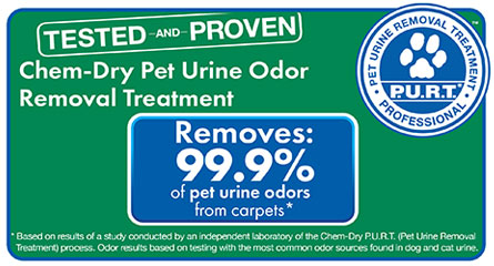 Chem-Dry Select removes 99.9% of pet urine odors from carpets in Arlington WA